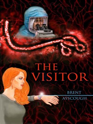cover image of The Visitor